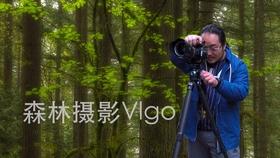 ~被蚊虫叮咬以后怎么办 、游戏画面