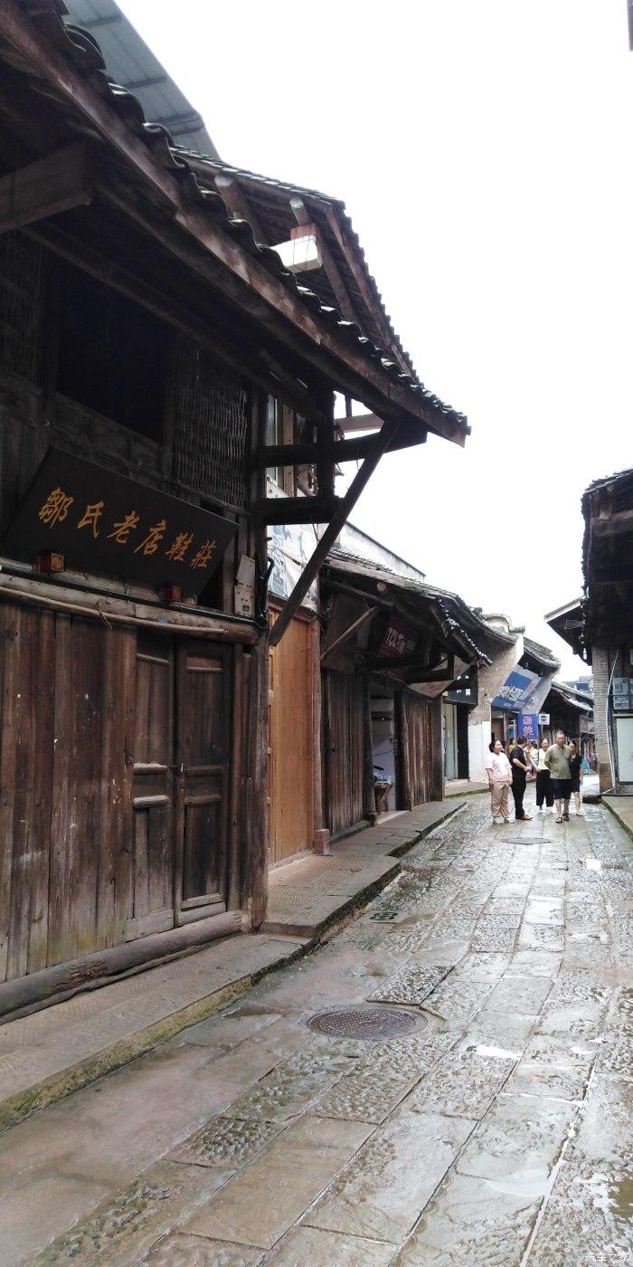 救援小肥兔